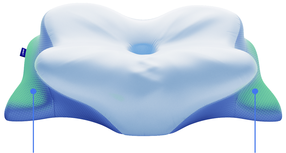 Derila Ergo Pillow official buy online